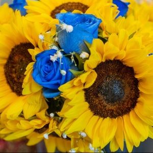 Meet your Posher, Katelyn